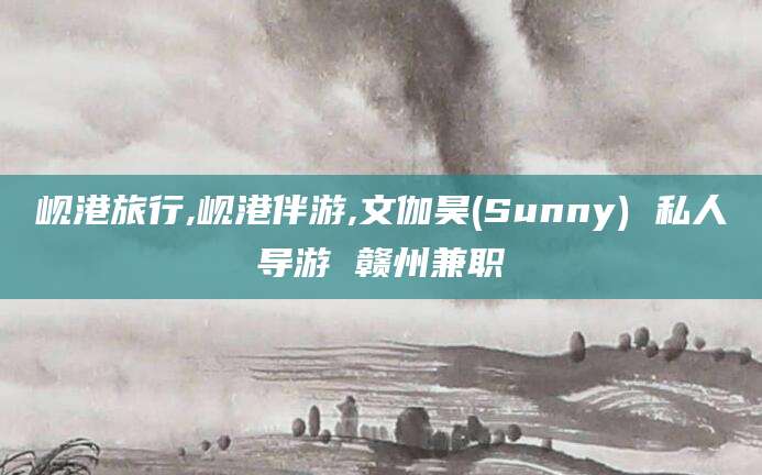 宁阳岘港旅行,岘港伴游,文伽昊(Sunny) 私人导游 赣州兼职