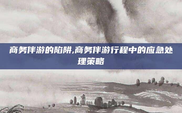 宁阳商务伴游的陷阱,商务伴游行程中的应急处理策略